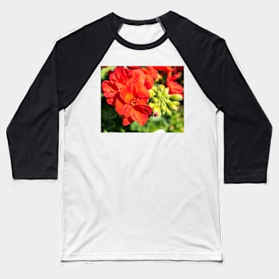 Summer flower colours Baseball T-Shirt